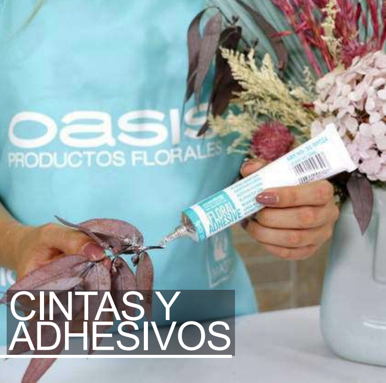 cintas