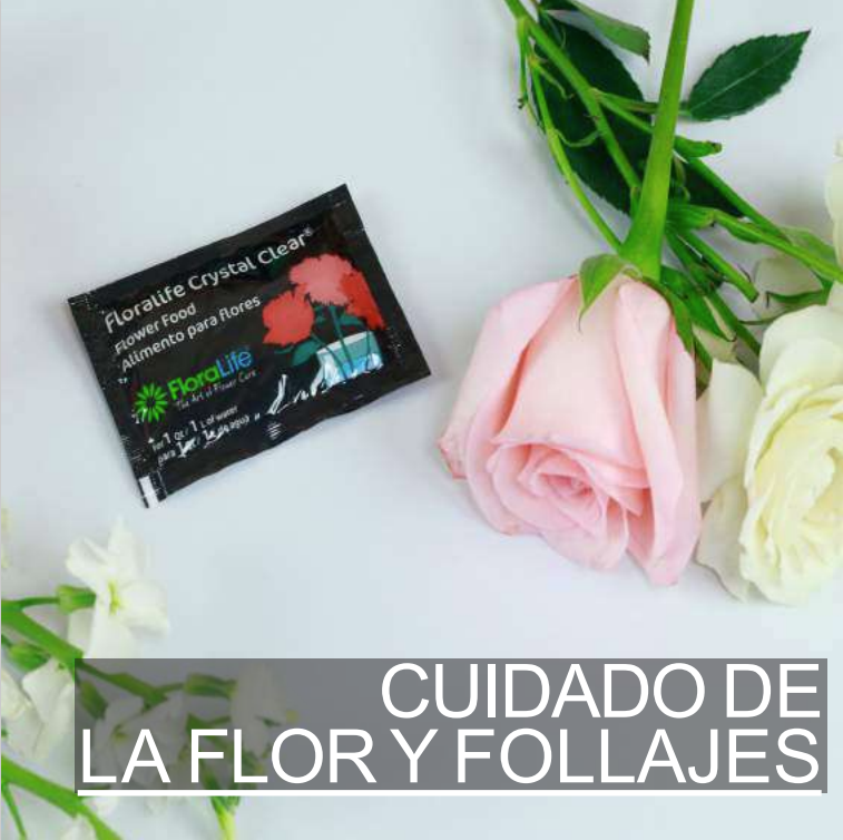 cuidado de la flor
