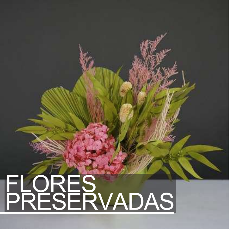 flores preservadas